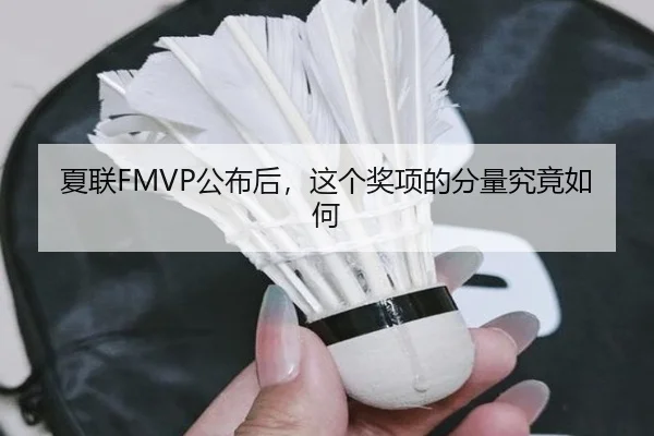 夏联FMVP公布后，这个奖项的分量究竟如何
